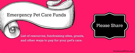 How to pay for pet care in an emergency